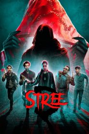 Stree 2 (2024) Sinhala Subtitles [සිංහල උපසිරැසි සමඟ]