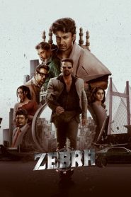 Zebra (2024) Sinhala Subtitles [සිංහල උපසිරැසි සමඟ]