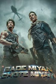 Bade Miyan Chote Miyan (2024) Sinhala Subtitles [සිංහල උපසිරැසි සමඟ]